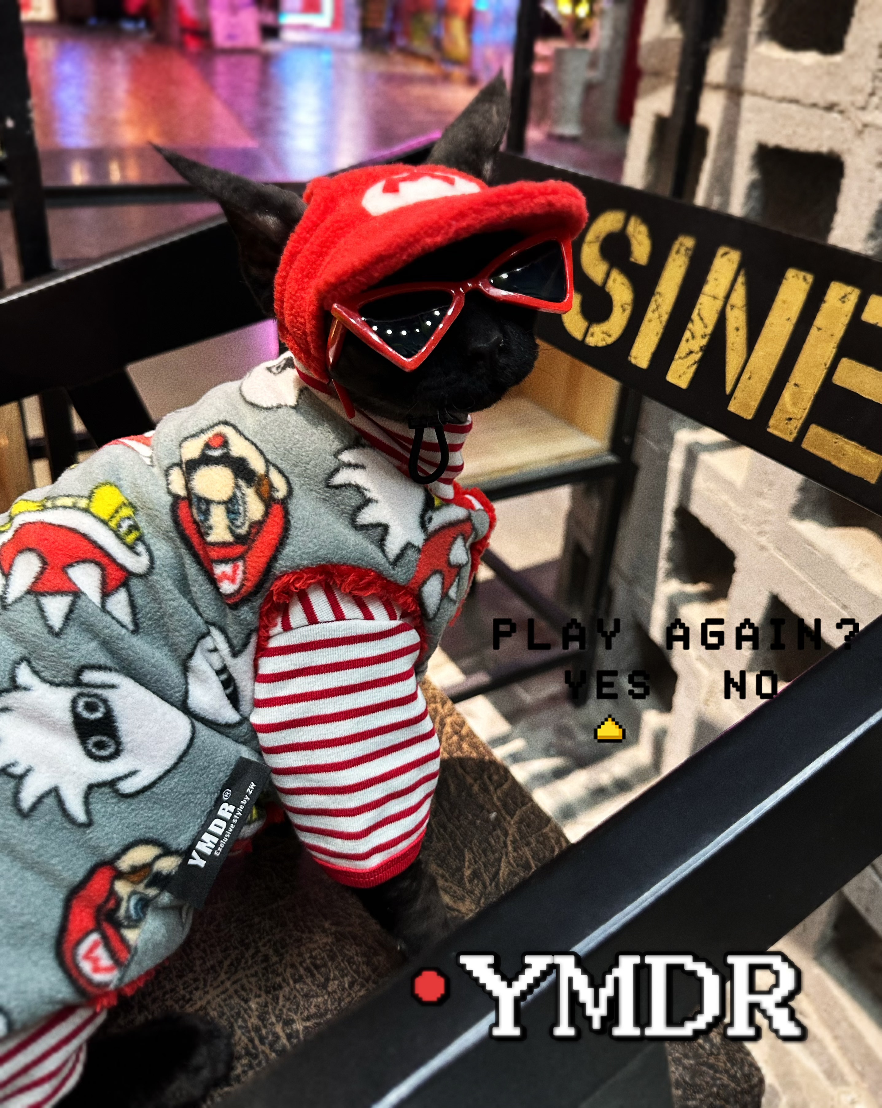 德文帽子YMDR德文衣服新年红衣服