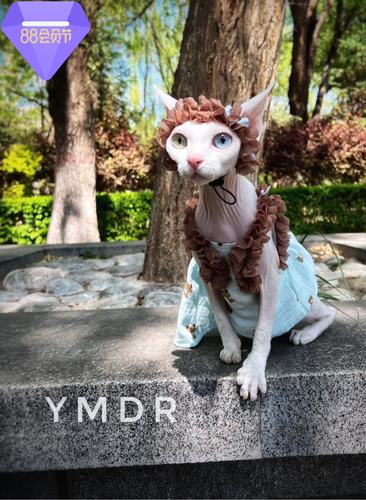 德文帽子YMDR德文裙子无毛猫裙子