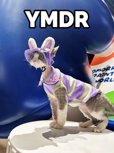 YMDR原创德文猫帽子无毛猫衣服COS可爱兔子帽夏季炸街娃娃领背心