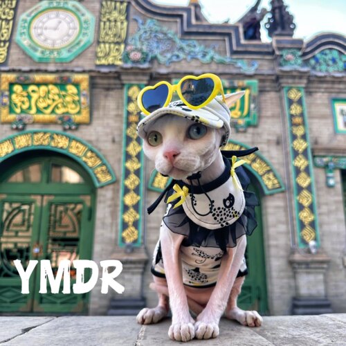 YMDR德文猫衣服无毛衣服德文帽子