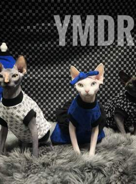 YMDR斯芬克斯无毛猫德文原创经典时尚黑白蓝三色纯棉圆领背心裙子