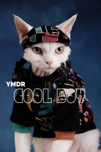 YMDR德文衣服德文帽子帅气炸街款