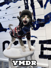 YMDR原创德文衣服德文帽子圣诞风英伦范居家摇粒绒T恤网红羊羔帽