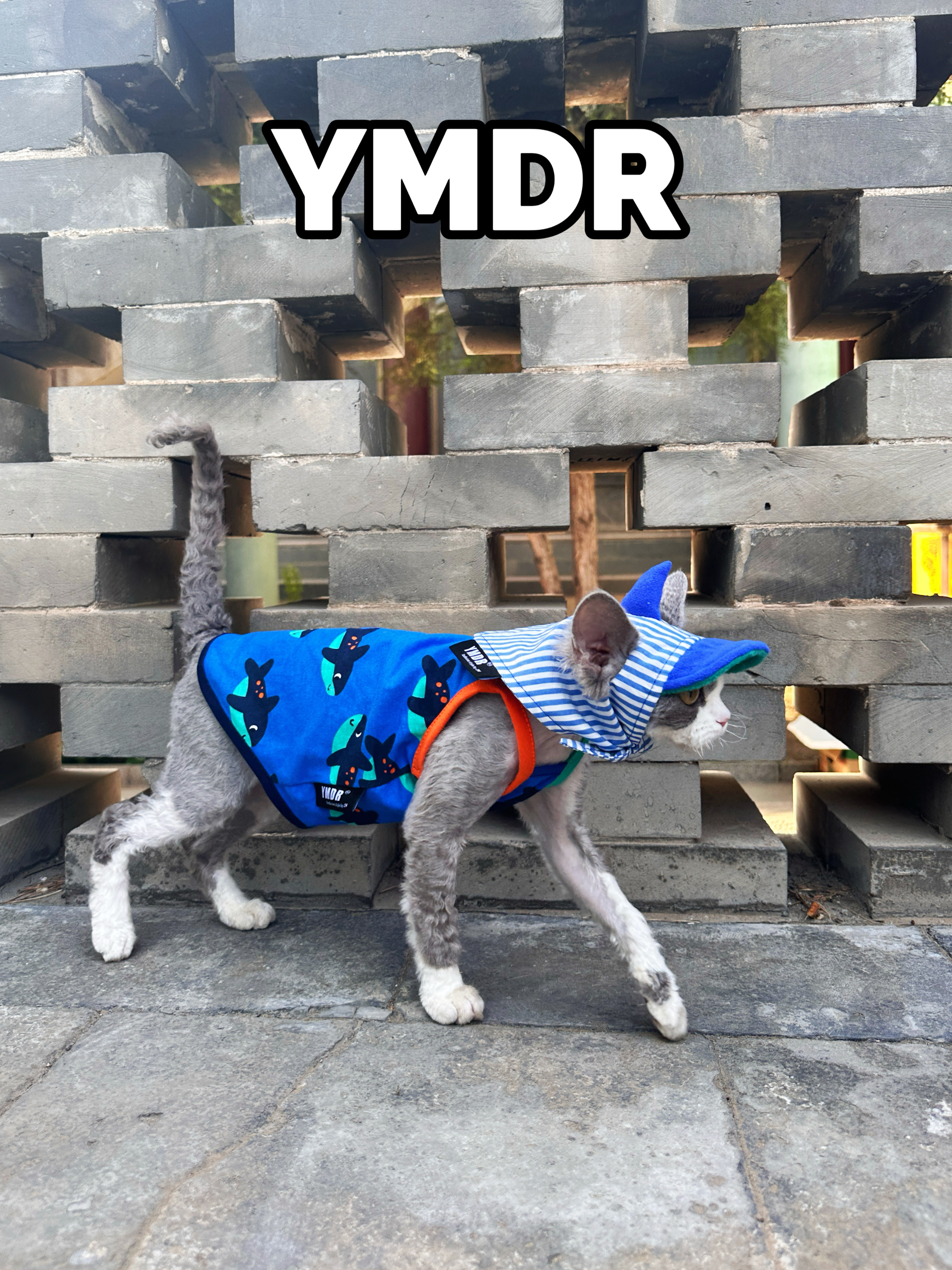 YMDR德文帽子德文猫衣服夏季清凉