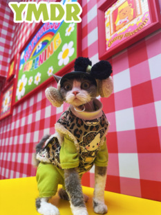 YMDR原创德文衣服Kitty防风保暖可牵引马甲德绒四脚衣耳包露耳帽