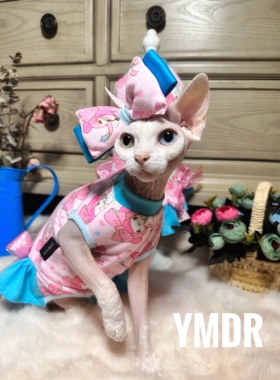 YMDR无毛猫德文猫夏季多巴胺可爱粉嫩美乐蒂纯棉花边蝴蝶结背心