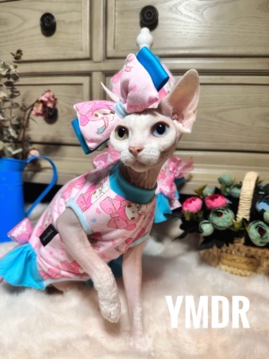 YMDR德文衣服无毛猫衣服德文配饰