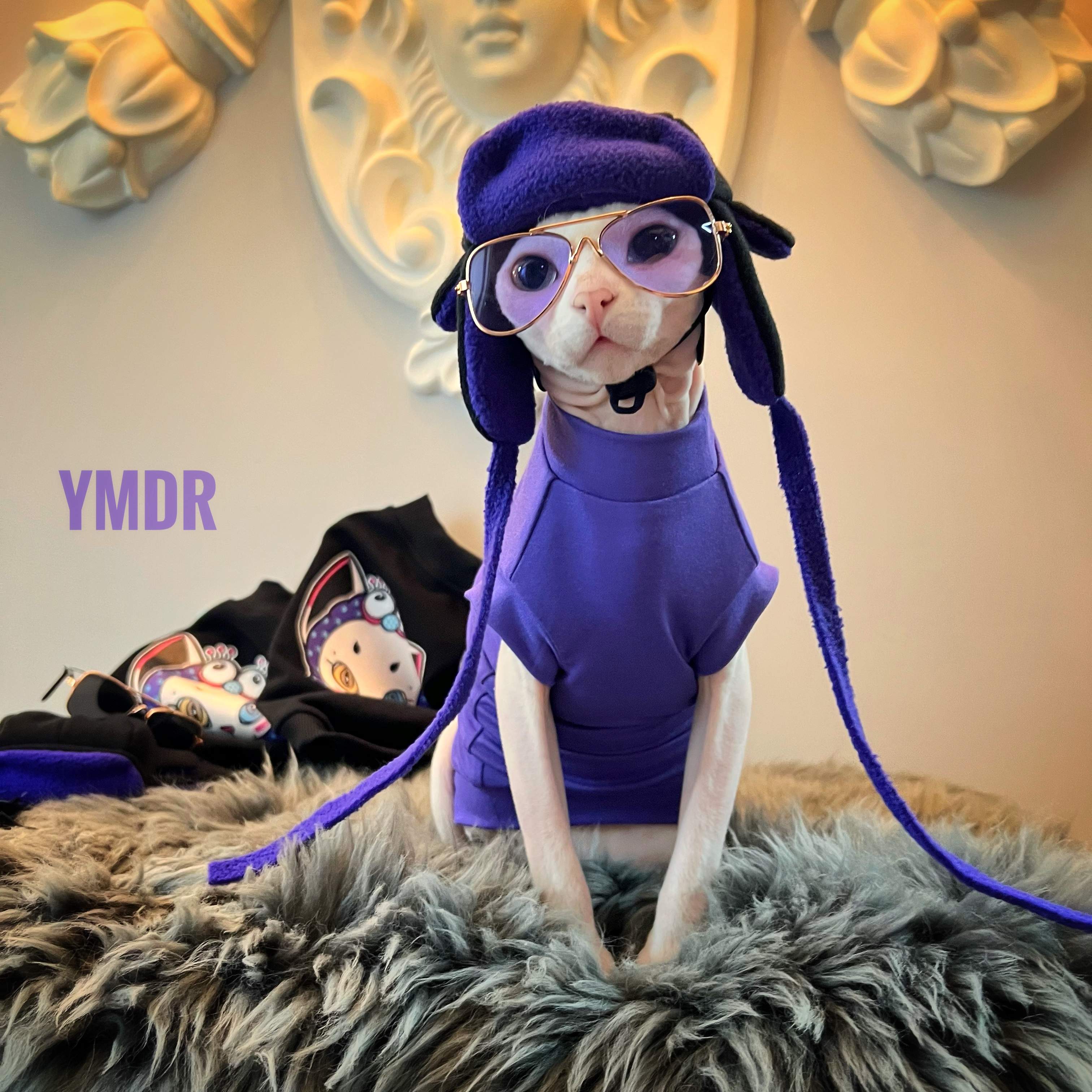 YMDR德文帽子无毛猫衣服德文衣服