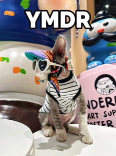 YMDR原创德文猫帽子无毛猫衣服条纹背心夏季炸街潮流休闲围巾帽
