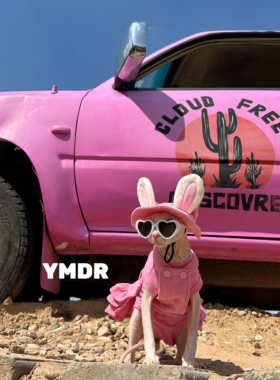 YMDR春秋德文无毛猫芭比粉背带裙 兔耳朵太阳帽 纯棉四脚连体背心