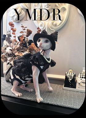 YMDR德文无毛猫牵引绳小香风胸背裙暗黑公主蝴蝶结太阳帽条纹四脚