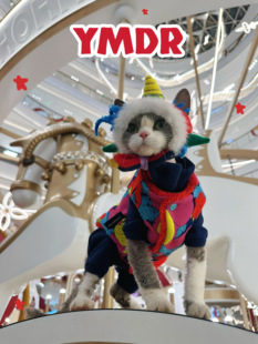YMDR原创德文衣服猫帽子年兽福瑞吉祥宠物拜年服红红火火双面马甲