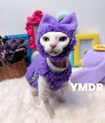 YMDR斯芬克斯无毛猫德文毛绒保暖紫色背心可爱蝴蝶结帽纯棉打底衣