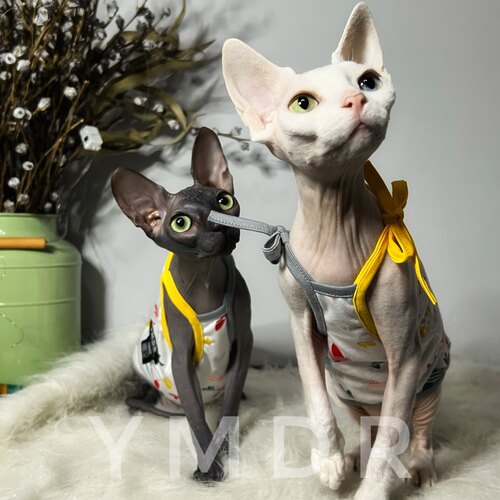 德文衣服YMDR无毛猫衣服德文配饰