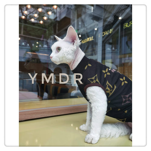 YMDR德文衣服无毛猫衣服夏季福利