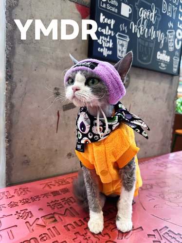 YMDR德文猫纯棉毛巾开衫软糯吸睛