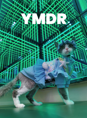 YMDR春夏人鱼胸背德文衣服德文帽子无毛衣服春款银闪T恤花边帽子