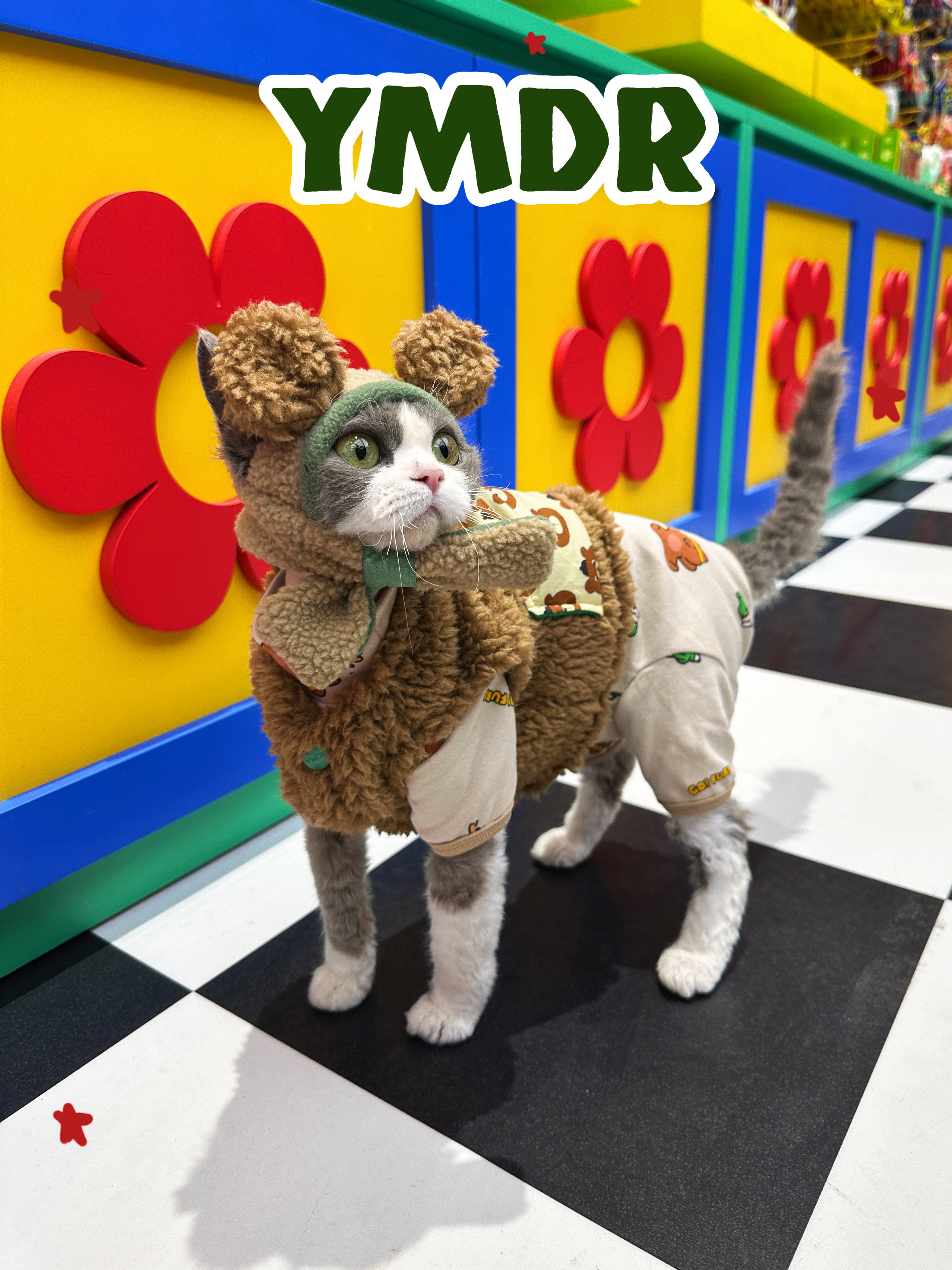 YMDR原创德文衣服纯棉四脚衣奶fufu牵引款半长开衫外套熊熊露耳帽,宠物/宠物食品及用品,猫宠物服装/雨衣（新）,淘宝优惠券,粉丝福利购,淘宝优惠卷