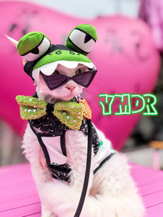YMDR原创德文猫帽子无毛猫衣服德文胸背COS可爱鳄鱼帽夏季 炸街款