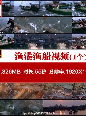 湛江 硇洲岛 渔港渔船 渔民捕打鱼虾 渔业海鲜 高清实拍视频素材