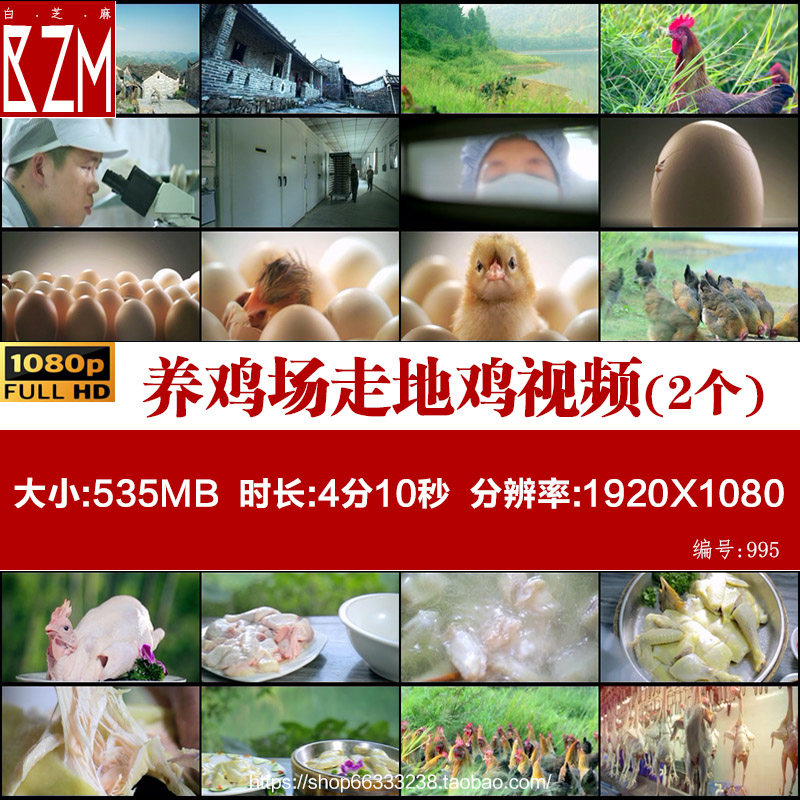 广东清远鸡三黄鸡养鸡场散养林下走地鸡肉鸡育苗孵化高清视频素材,商务/设计服务,设计素材/源文件,淘宝优惠券,粉丝福利购,淘宝优惠卷