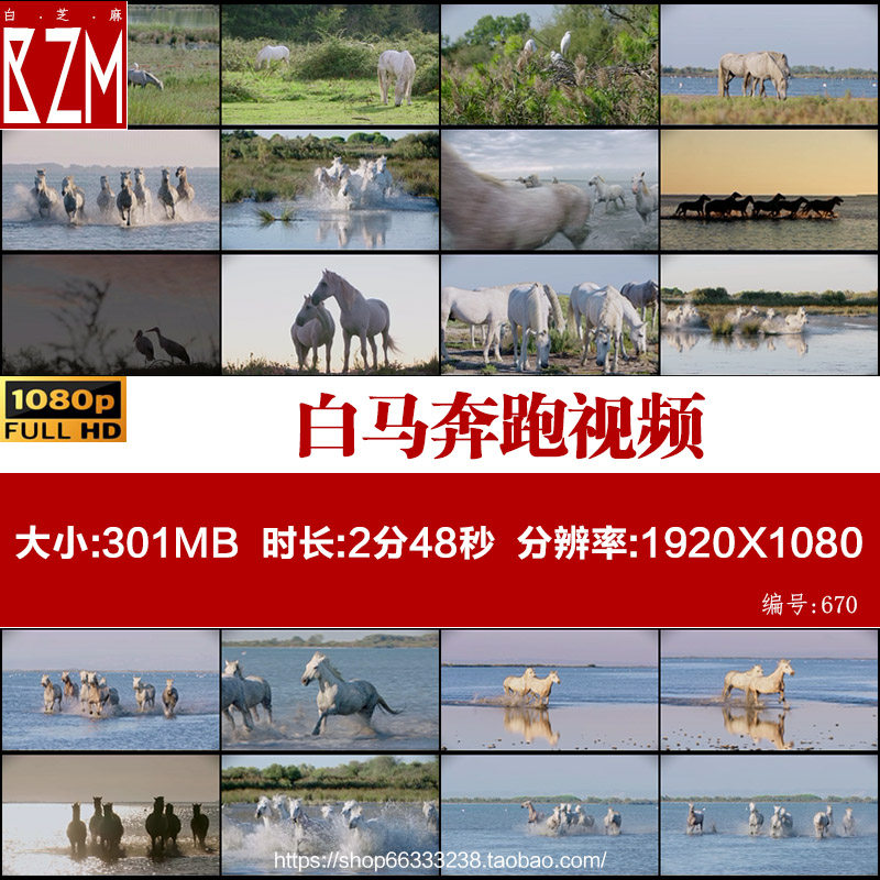 白马奔跑马群戏水高清视频畜牧放牧湖岸牧场高清实拍视频素材,商务/设计服务,设计素材/源文件,淘宝优惠券,粉丝福利购,淘宝优惠卷