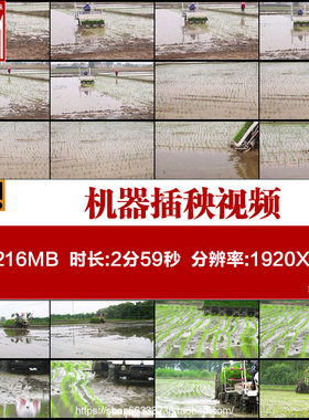 农村农业春耕粮食生产小春大春机器插秧机栽秧水稻种植视频素材