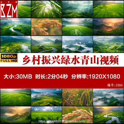 乡村振兴绿水青山生态农业美丽乡村风光田野大美中国稻田视频素材