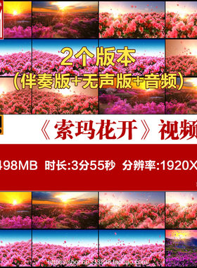 索玛花开 伴奏 舞台舞蹈表演出伴奏大屏晚会高清背景led视频素材