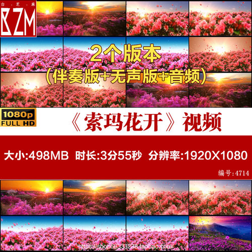 索玛花开 伴奏 舞台舞蹈表演出伴奏大屏晚会高清背景led视频素材