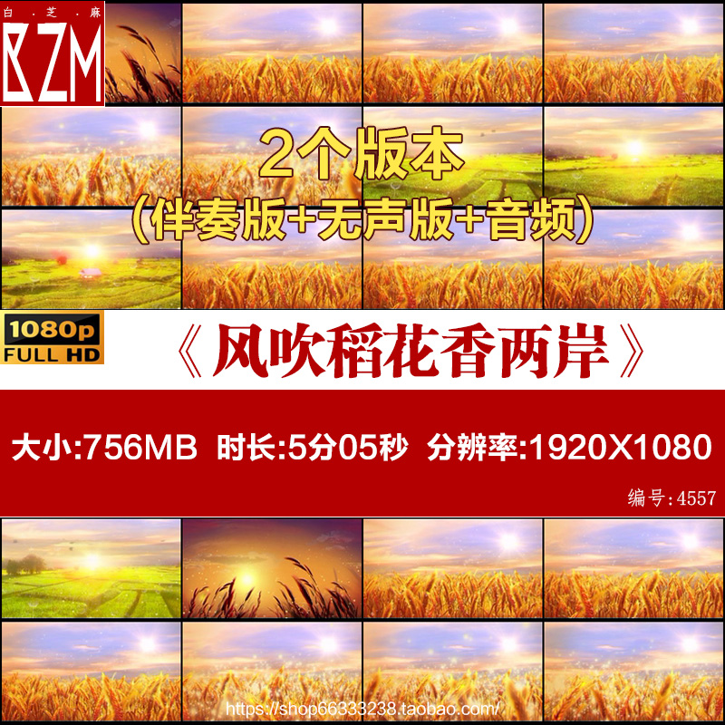 风吹稻花香两岸 配乐舞蹈视频伴奏舞台表演led大屏幕背景视频素材