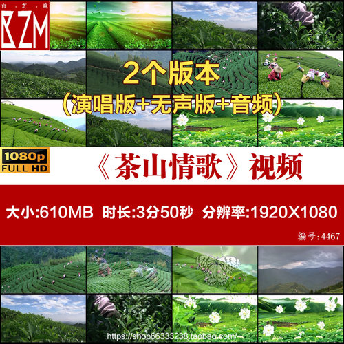 茶山情歌 舞台背景 led大屏幕动态视频素材 采茶 茶田茶园 采茶谣