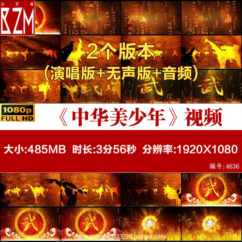 中华美少年 优秀少年 舞蹈 LED大屏幕舞台背景高清视频素材