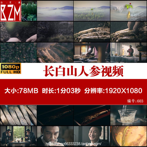 东北长白山人参视频素材