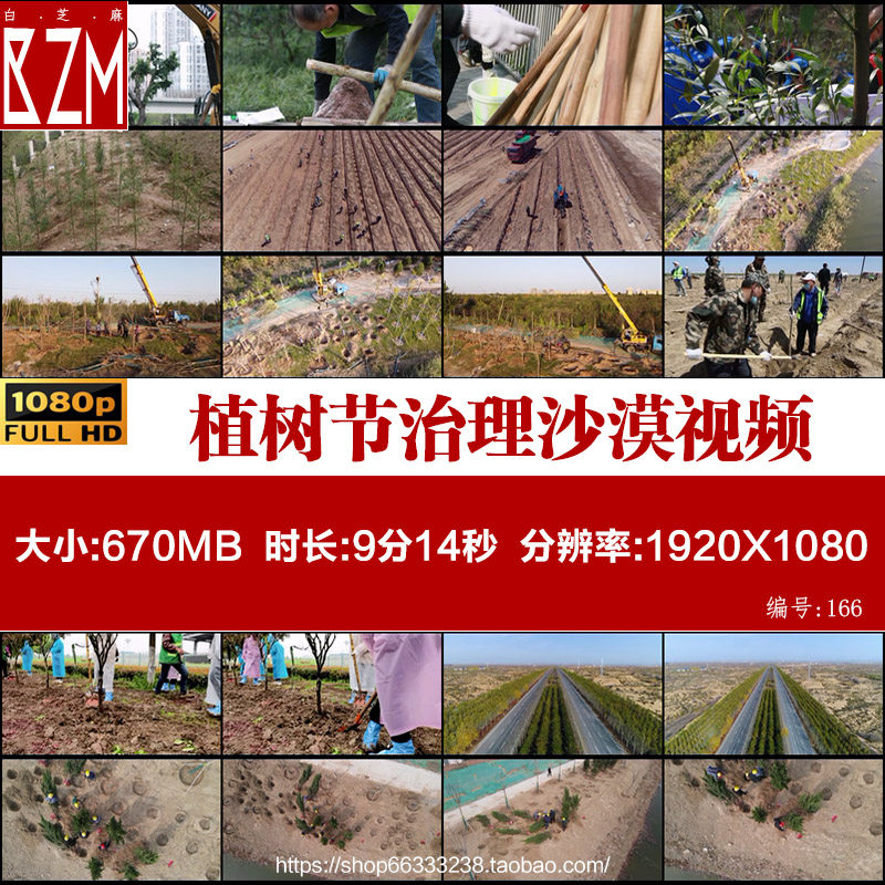 防风固沙植树节植树造林治理沙漠化种树绿化实拍视频素材