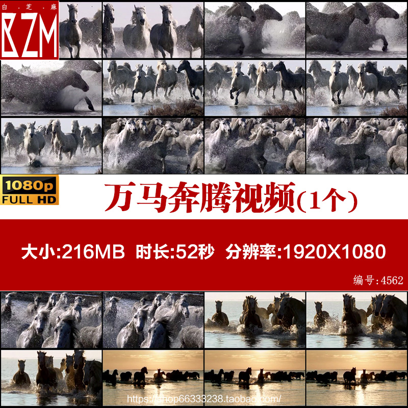 万马奔腾马群奔跑骏马奔驰白马马群嘶叫踏水高实拍清视频素材