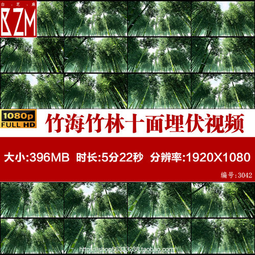 竹海 竹林 竹子伴舞 宁静微风十面埋伏LED大屏背景视频素材