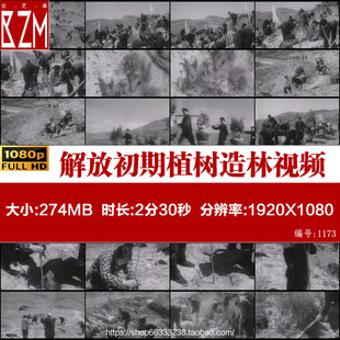 五六十年代解放初期的西北农民开荒种树植树造林防风沙视频素材