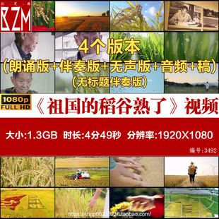 祖国的稻谷熟了思念歌颂怀念袁隆平朗诵演讲稻田里中国梦背景视频