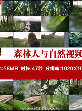 大自然唯美意向镜头绿色森林人与自然儿童宣传片mp4mo短视频素材