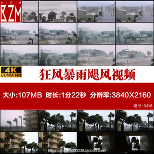 台风狂风暴雨飓风大风恶劣天气自然灾害实拍视频素材