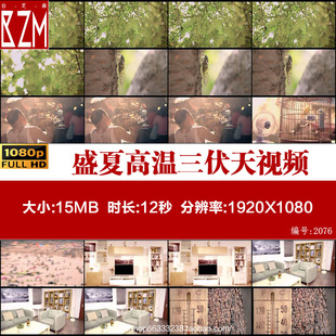 酷热夏天酷暑盛夏温度高三伏天知了人群避暑炎热夏季高温视频素材