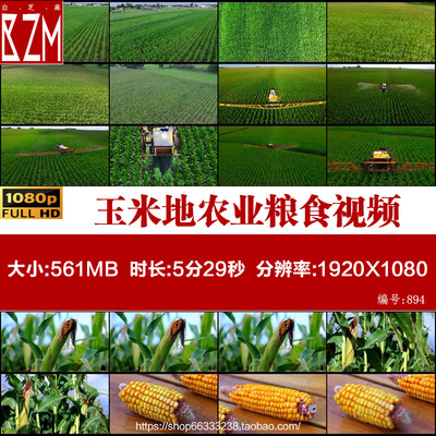 航拍乡间地头玉米地种植园农业粮食玉米棒高清视频宣传片素材