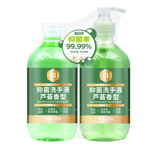 Tasy她树抑菌洗手液芦荟香型洗手液500ml
