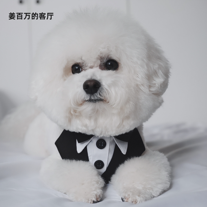 宠物西装婚礼西服口水巾三角巾超帅比熊猫狗泰迪 姜百万的客厅
