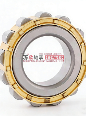 减速机轴承RN204 205 206 307 308 309 312 219 222 228 代替天马