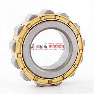 减速机轴承RN204 205 206 307 308 309 312 219 222 228 代替天马