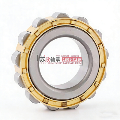 减速机轴承RN204 205 206 307 308 309 312 219 222 228 代替天马