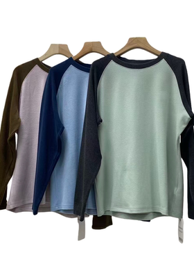 清仓【YLANGENE】微磨绒插肩袖拼色卫衣250167HHS