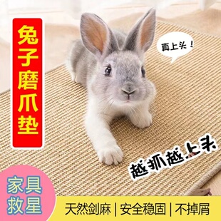 兔子龙猫松鼠飞鼠磨抓板耐磨耐抓耐啃咬四季 通用笼子防卡脚剑麻垫